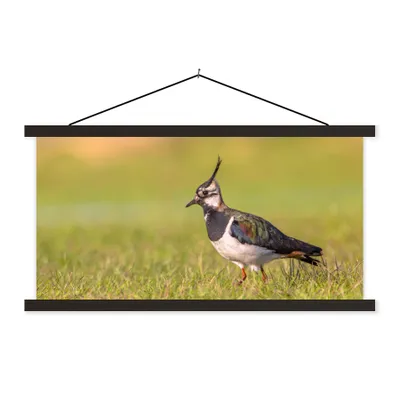 Produktbild von MuchoWow® Textilposter Vogel - Gras - Natur - Tiere - Kiebitz 90x45 cm mit schwarzem Rahmen - Klemmleisten