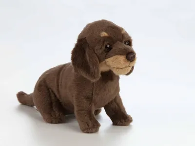 Produktbild von Living Nature Plüsch Dackelwelpe 16cm Hund Kuscheltier