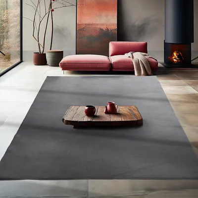Immagine prodotto di Carpetsale24 Tappeto Lavabile a Pelo Corto Antiscivolo Monocolore Morbido e Confortevole in Stile Moderno, Dimensioni: 240x340 cm