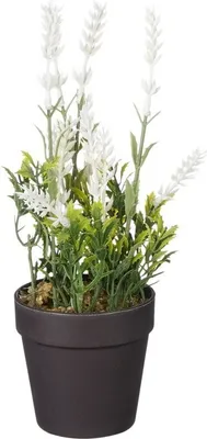 Produktbild von Mica künstlicher Lavendel im Topf weiß 24 x 10 cm