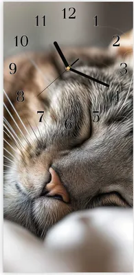 Produktbild von Wanduhr aus Glas mit Motiv Schlafende Katze- 30 x 60 cm - inkl. Aufhängesystem