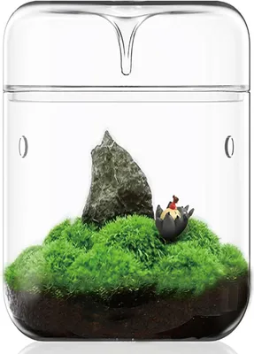 Produktbild von Glas Pflanzen Terrarium - 12 x 175 cm - Sukkulente - Moosfarn - Mikro-Landschaftsvasen - Wohnraumdekoration - Büroschmuck - Tischbehälter mit Deckel - Wardian - DIY Geschenk