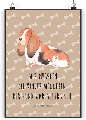 Produktbild von Mr. & Mrs. Panda Bild Hund Basset Hound DIN A5 - Hundeglück - Geschenk, drucke, wanddeko, Plakat, Wanddekoration, Sprüche, Lustig, Niedlich, Wandbild