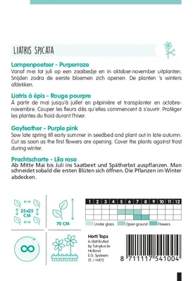 Produktbild von Samen - PRACHTSCHARTE 'LILA ROSA'