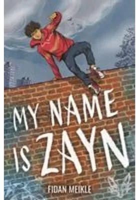 Obrázek produktu pro Jmenuji se Zayn