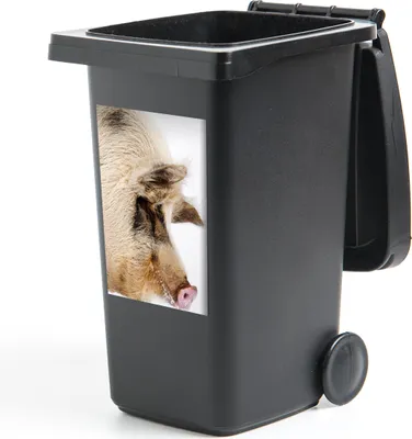 Produktbild von MuchoWow® - Mültonnen-sticker - Sticker - Aufkleber für die Mülltonne