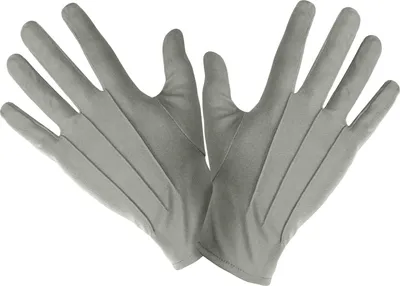 Produktbild von Handschuhe mit Biese grau