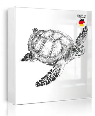 Zdjęcie produktu dla Metalowa szafka na klucze banjado, wymiary 30 x 30 cm, z 32 haczykami, z możliwością wykorzystania jako tablica magnetyczna, korpus czarny, zawiasy po prawej stronie, żółw 2 [SKGW1 13030]