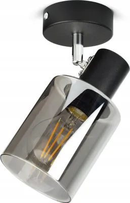A modern black ceiling light with a smoked glass shade and an exposed filament bulb.