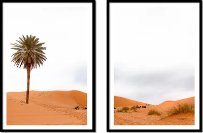 Obrázek produktu pro RÁMOVANÝ OBRAZ 53x73cm Diptych se 2 obrazy Palm Desert Boho P2165