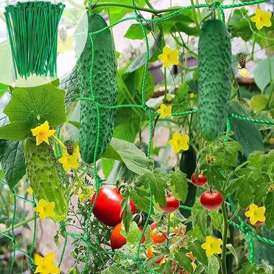 Image de Tuteurs pour plantes grimpantes, 2 x 5 m, tomates, roses, concombres