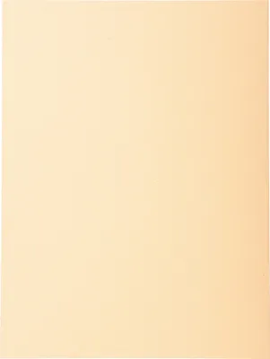 Produktbild von Exacompta 5x Pack 100 Aktendeckeln Recycling 220g A4 - Sand - 410002E