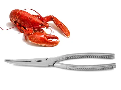 Immagine prodotto di Pinze per aragoste Karl Weis, acciaio inossidabile, 20,7 x 4,5 x 1 cm, 192,8 g