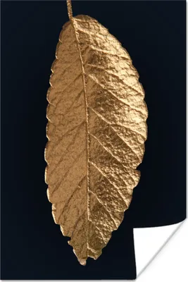 Produktbild von MuchoWow® Poster Schwarz - Blatt - Gold 20x30 cm - Papierdruck