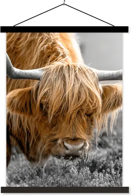 Produktbild von MuchoWow® Textilposter Schottisches Hochlandrind - Kuh - Pflanzen 90x120 cm mit schwarzem Rahmen - Dekoration