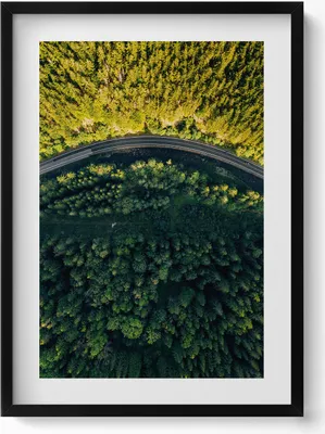 Produktbild von Wald aus einer Drohne - Berg Sněžka– Wandbild mit Rahmen – Gerahmtes Bild  – Wanddekoration – 50x70 cm –  Schwarz Rahmen
