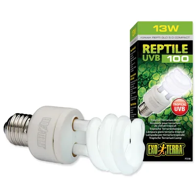 A reptile UVB light bulb and its packaging are displayed against a white background.