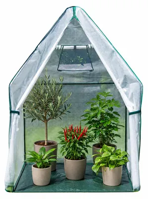 Obrázek produktu pro Westmann zimní stan a fóliový skleník Chilli White 120x120x180 cm