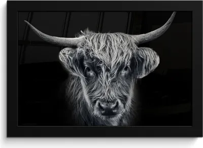 Produktbild von MuchoWow® MuchoWow® Gerahmtes Poster Schottisches Hochlandrind - Schwarz - Kuh - Tiere 30x20 cm - Poster mit zchwarzem Bilderrahmen - Kunstdruck - Bild-Poster