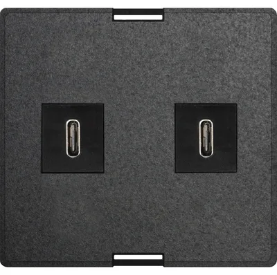 Produktbild von EVOline Wechselmodul  USB Charger 2 x USB Typ C schwarz inkl. Netzteil