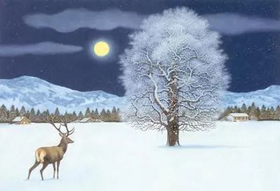 Immagine prodotto di Calendario dell'Avvento: una magica notte invernale