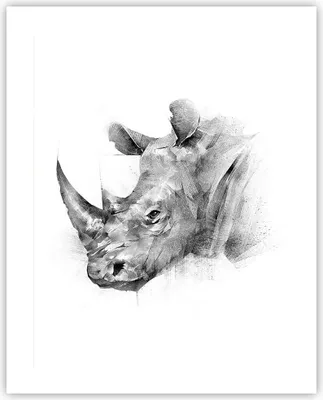 Produktbild von Poster - Poster ohne Rahmen - Nashorn Porträt Grafik - 40x50 cm - Wand Bild - Wanddeko - Wandbilder - Kunstposter - Wandposter - Bilder - Kunstdruck - Wanddekoration - Wandbild - P2XPA40x50-4378