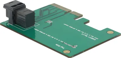 Productafbeelding van Delock - Geheugencontroller - SAS 12 Gb/s - PCIe 3.0 x4