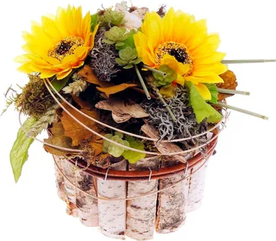 Produktbild von Sonnenblumen im Pflanztopf aus Birkenast gelb H 18cm D. 14,5cm CreaFlor Home