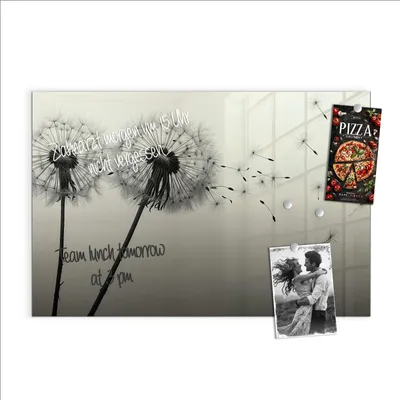 Produktbild von Magnettafel 60x40cm Pinnwand Whiteboard beschreibbar - Pusteblume Schwarz