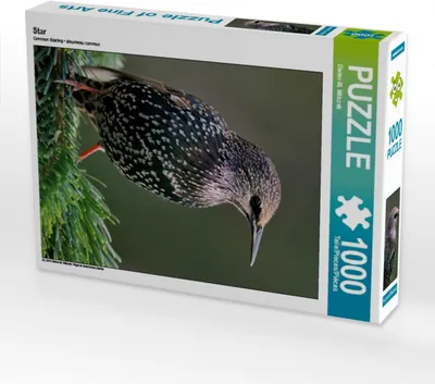 Produktbild von Calvendo Star 1000 Teile Puzzle hoch 480x640mm, Wilczek Dieter-M.; 7319232