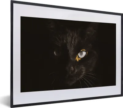 Produktbild von MuchoWow® Gerahmtes Poster Katze - Gold - Schwarz 40x30 cm - Poster mit Schwarzem Bilderrahmen Wandposter Rahmen Foto Bilder - Bilderrahmen - Poster im Rahmen