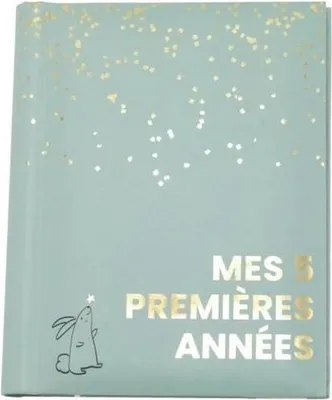 Image de Livre de Naissance Domiva, Sauge Gold, 5 Premières Années, 100 Pages Illustrées, Album Souvenir Bébé