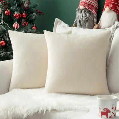 Produktbild von Set mit 2 Samtkissenbezügen mit verdecktem Reißverschluss für Sofa und Schlafzimmer, 55 x 55 cm