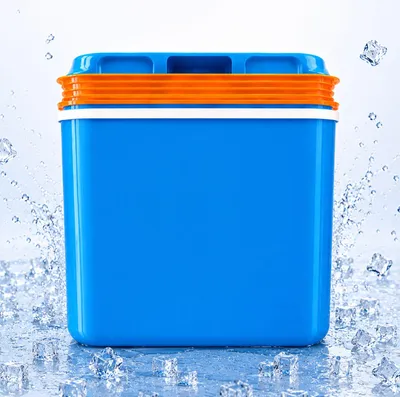 Produktbild von Elektrische Kühlbox 22L Coolbox Thermobox Picknick Camping 21 Liter 12V 230V