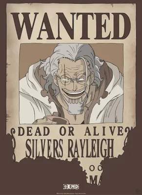 Produktbild von Poster One Piece Wanted Rayleigh 38x52cm