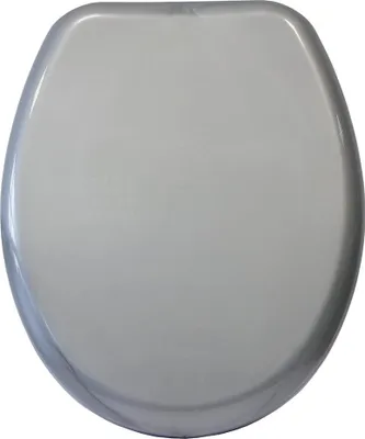 A top-down view of a closed toilet seat.