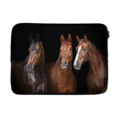 Produktbild von MuchoWow® Laptop Hülle 13 Zoll Pferde - Tiere - Schwarz - Porträt Laptoptasche - Laptophülle - Sleeve - Rundumschutz