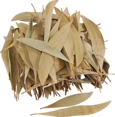 Produktbild von Getrocknete Eukalyptus Blätter grün 100g mit frischem Duft für floristische Dekorationen & Bastelarbeiten