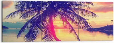 Produktbild von Bild auf Leinwand - Leinwandbild - Meer Strand Palme - 150x50cm - Wand Bild - Wanddeko - Wandbilder - Leinwanddruck - Bilder - Kunstdruck - Wanddekoration - Leinwand bilder - Wandkunst - CA150x50-3925