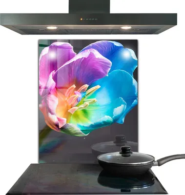 Produktbild von Spritzschutz aus Glas Küchenrückwand - Wandschutz für Herd und Spüle - 60x80 cm - Bunte Regenbogenblume