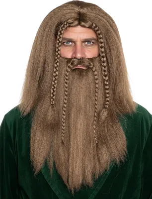 Image de Viking avec tresses brunes Perruque & barbe