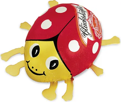A ladybug-shaped chocolate with a label on its back.