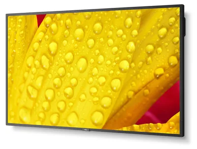 Immagine prodotto di NEC MultiSync ME431 43" Display