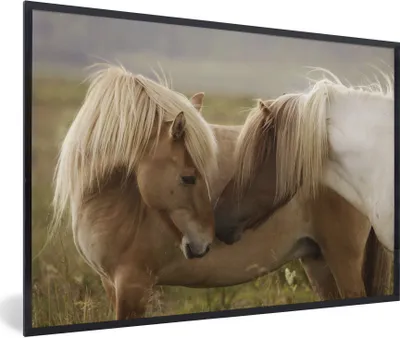 Produktbild von MuchoWow® Gerahmtes Poster Pferde - Gras - Braun 90x60 cm - Poster mit Schwarzem Bilderrahmen Wandposter Rahmen Foto Bilder - Fotorahmen - Foto-Plakat