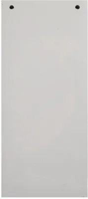 Immagine prodotto di EXACOMPTA 13485B EXACOMPTA Trennstreifen Recycling, 105 x 240 mm, grau