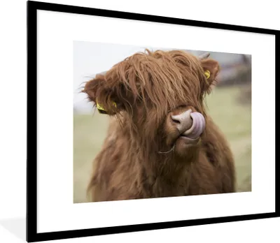 Produktbild von MuchoWow® Gerahmtes Poster Schottischer Highlander - Braun - Kuh 80x60 cm - Poster mit Schwarzem Bilderrahmen Wandposter Rahmen Foto Bilder - Schlafzimmer-Dekorationen - Fotoposter