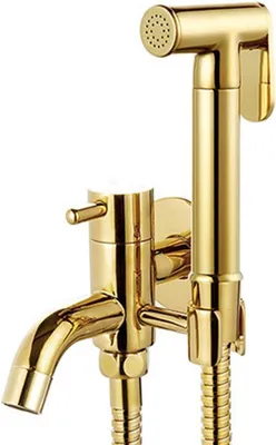Obrázek produktu pro Sprcha, bidet nebo teplá voda, splachování pro pohovky, toalety a záchody