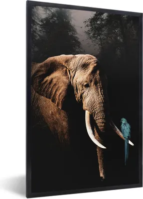 Produktbild von MuchoWow® MuchoWow® Gerahmtes Poster Elefant - Papagei - Baum 40x60 cm - Poster mit zchwarzem Bilderrahmen - Papierdruck - Wandbilder