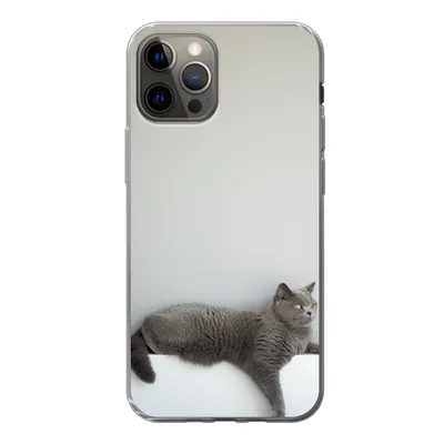 Produktbild von MuchoWow® Handyhülle Schutzhülle Hülle für iPhone 12 Pro Katze - Britisch Kurzhaar - Grau - Mädchen - Kinder - Jungen - Kinder Silikon Softcase Handy Hülle - Abdeckung