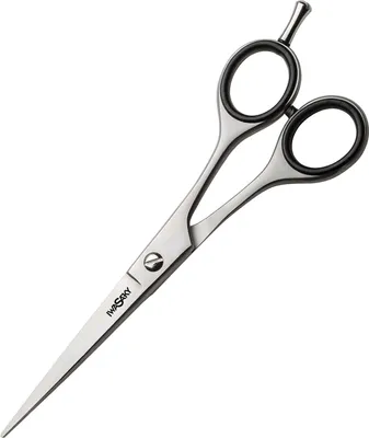 Produktbild von Iwasaki Steel 6.5"